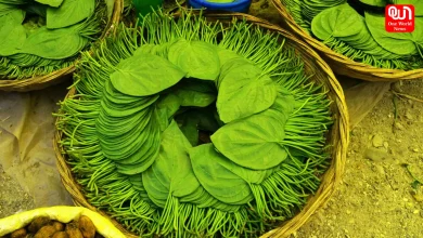 Betel Leaves