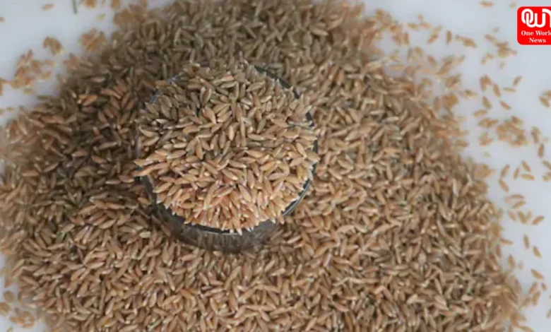 Khapli Atta Health Benefits