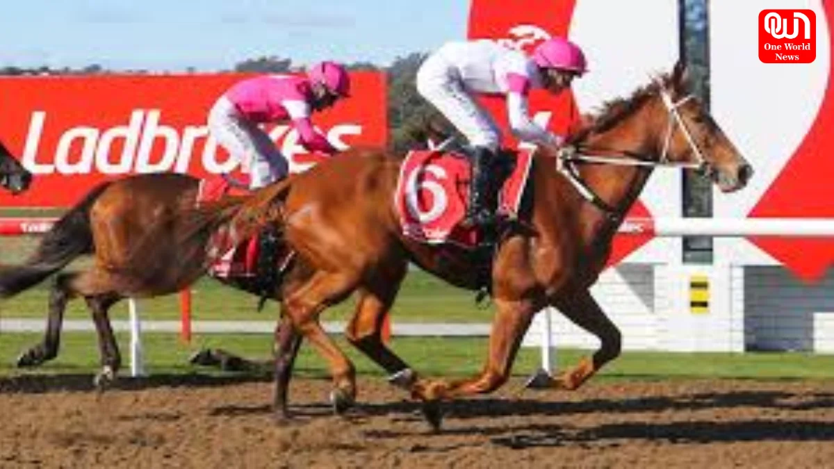 Launceston Cup 2026