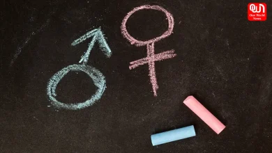 Political Roundup: Key Global Political Developments Explained