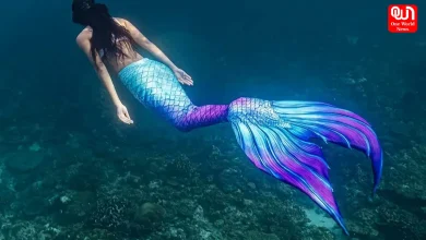 Mermaid Day 2026