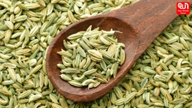 Fennel Seeds, Saunf