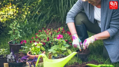 Gardening for Mental Health